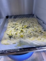 IMG_0274.jpeg