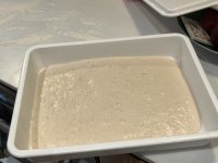 IMG_0271.jpeg
