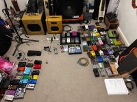 IMG_4311.jpeg