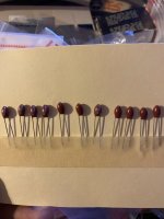 IMG_2149.jpeg