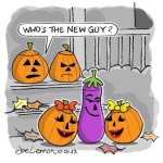 who's the new guy.JPG