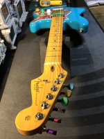 IMG_6781.jpeg