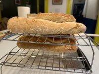 IMG_0385.jpeg