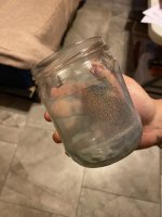 IMG_2167.jpeg