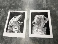 IMG_2827.jpeg
