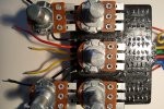 05-PolyHog Guts-B2.jpg