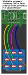 07-PolyHog PCB to 3PDT Question.JPG