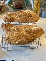 IMG_0457.jpeg
