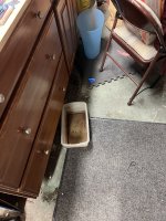IMG_3360.jpeg