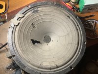 IMG_1304.jpeg