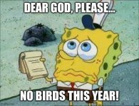 IMG_3250.jpeg