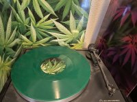IMG_0417.jpeg