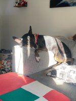 IMG_4138.jpeg