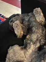 IMG_0363.jpeg