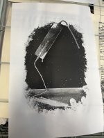 IMG_3886.jpeg