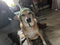 IMG_3089.jpeg