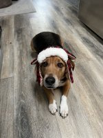 IMG_3080.jpeg
