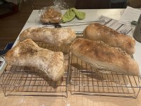 IMG_0602.jpeg