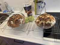 IMG_0612.jpeg