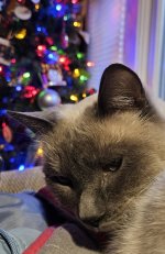 20231224_162037.jpg