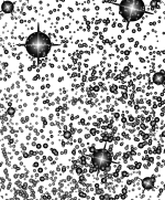 ToTheStars_Tayda_NoGray-01.png