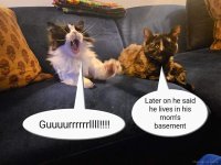 FB_IMG_1703882927610.jpg