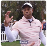 1000010815.png