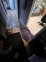 IMG_4848.jpeg
