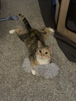 IMG_5211.jpeg
