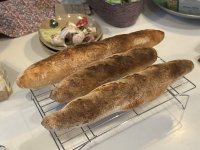 IMG_0913.jpeg