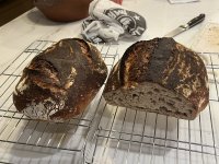 IMG_0928.jpeg