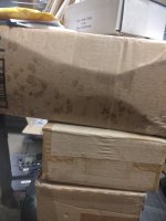 IMG_20240124_135409238.jpg