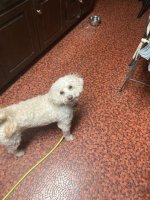 IMG_5118.jpeg