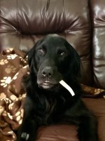 Bearon_Bone_Healing_2024_01.jpg