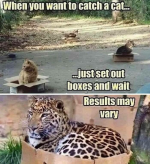 1706244362312.png