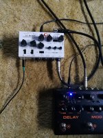 LY-ROCK Tone Monster - (clone?) DSM & Humboldt Simplifier