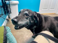 IMG_0033.jpeg
