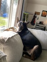 IMG_8695.jpeg
