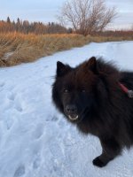 E51AD156-F4A0-464C-B06B-D6978F5D0FE1.jpeg