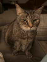 1707013382989.png