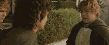 T4LcAb6.gif