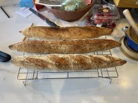 IMG_1057.jpeg