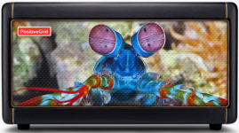 Mantis4.png