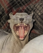 1000021982.png