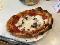 IMG_1104.jpeg