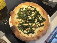 IMG_1105.jpeg