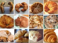 Shar Pei or Croissant.jpg