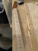 IMG_8760.jpeg