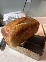 IMG_4484.jpeg