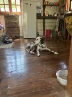 IMG_1138.jpeg